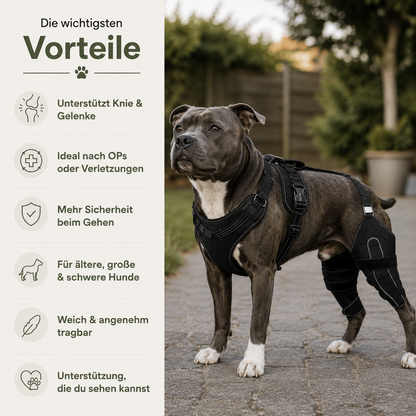 OrthoPaw - Kniebandage - YUSASTORES
